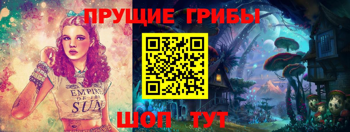 Протвино  Псилоцибиновые грибы мухоморы  где можно купить наркотик  Вход с VPN  Галлюциногенные грибы Cubensis 